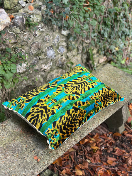 Tiger Stripe Velvet ikat Cushion with Ric Rac